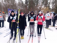Элемент  дизайна